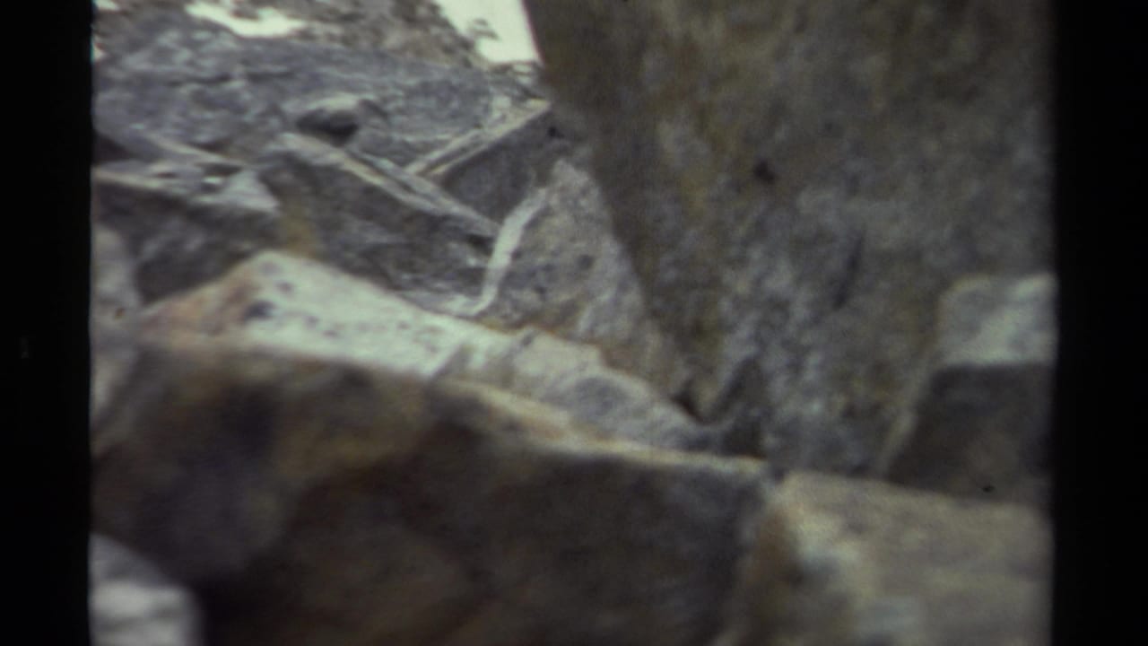 A small brown animal appears partly hidden in a rocky outdoor setting in 1979 British Columbia footage.