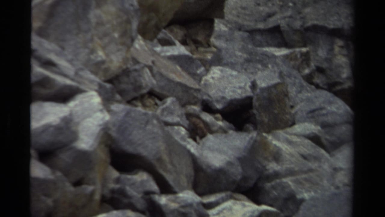 Jagged gray rocks fill the frame with dark gaps and black film borders.