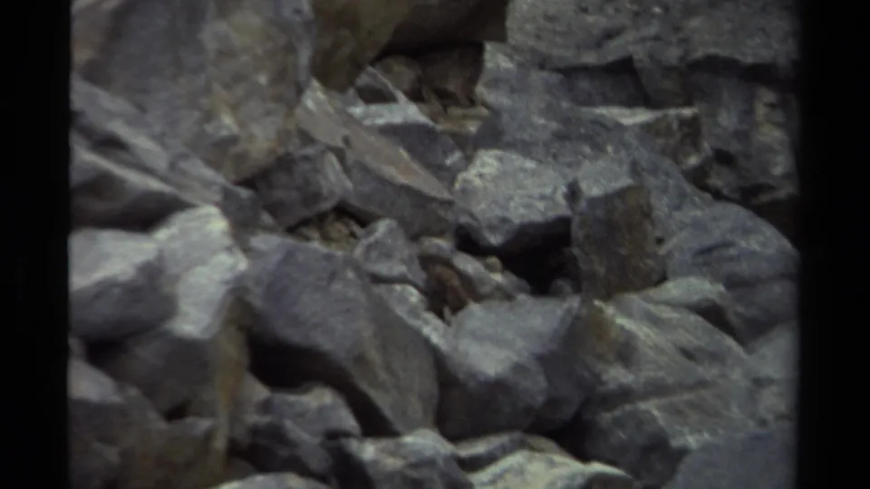 1979 British Columbia 8mm frame showing a close, soft-focus view of gray rocks and shadowed spaces on uneven terrain.
