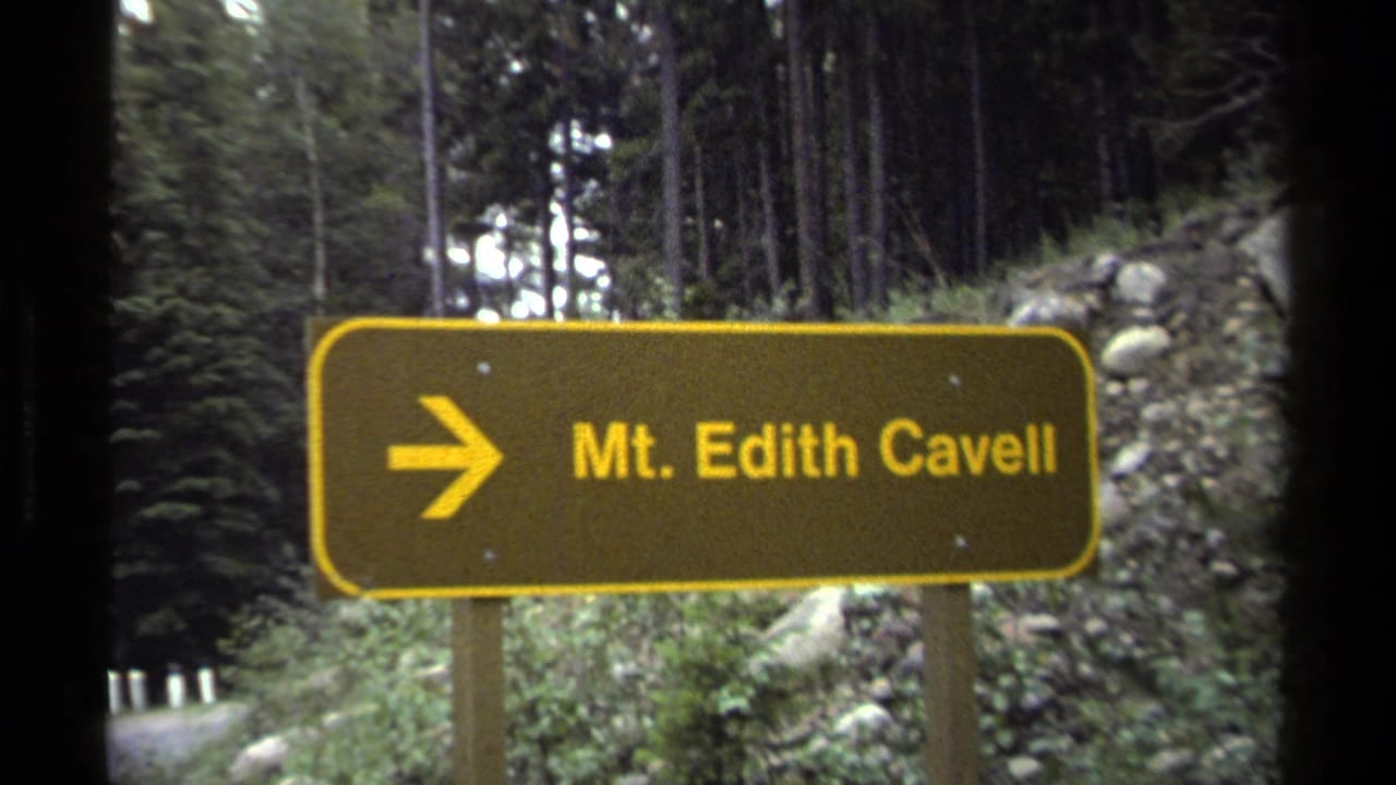 Canadian Rockies 8mm frame of a yellow Mt. Edith Cavell wayfinding sign set against evergreens and a rocky roadside bank.