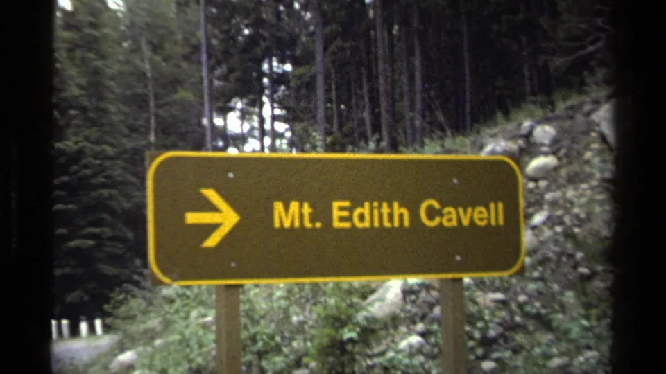 Canadian Rockies 8mm frame of a yellow Mt. Edith Cavell wayfinding sign set against evergreens and a rocky roadside bank.