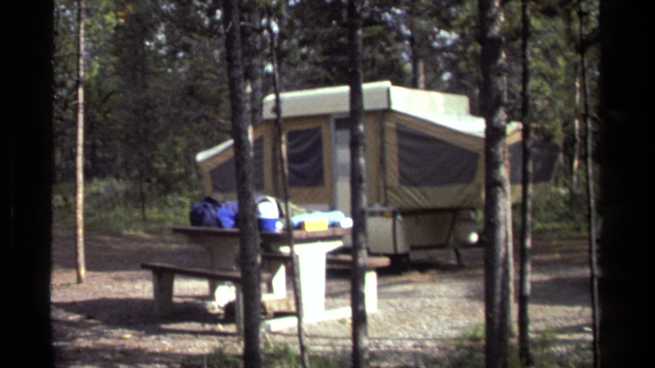 Pop-up camper and picnic table framed by tree trunks at a campsite.