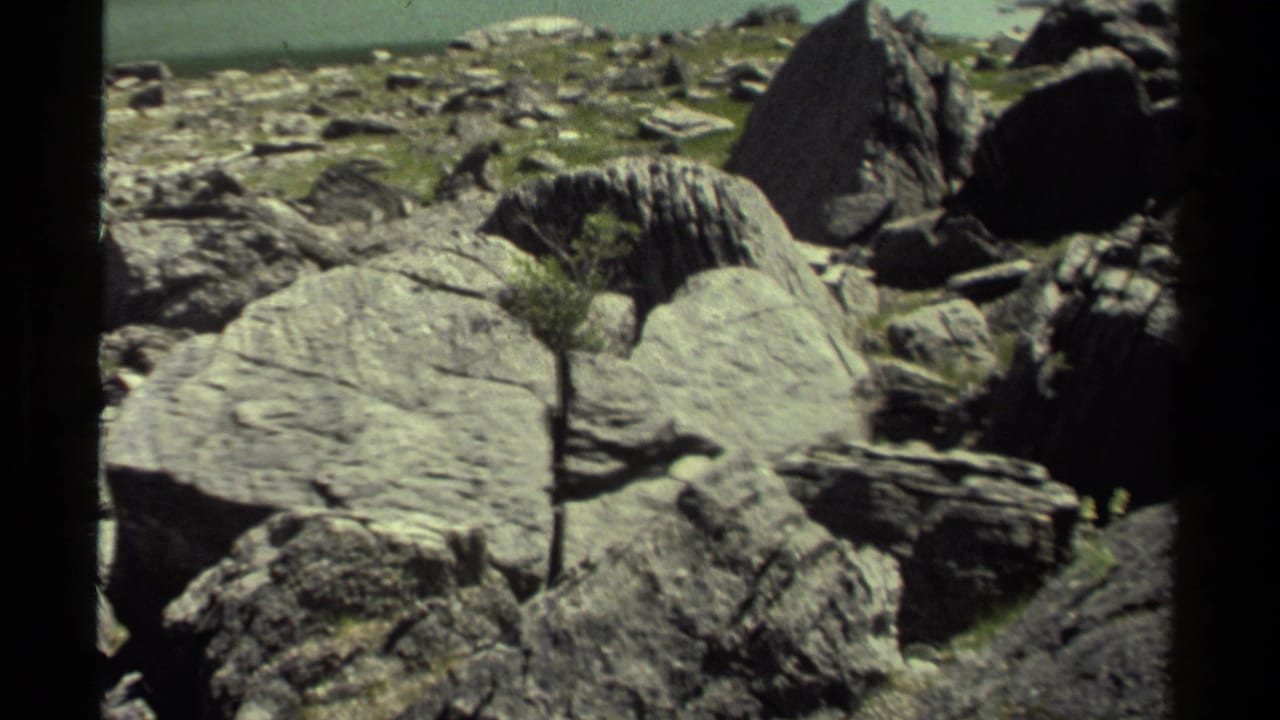 Large gray boulders and rocky ground with sparse vegetation near the top edge of the frame.