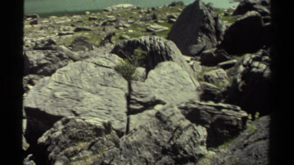 1979 British Columbia home-movie view of large gray rocks, rough terrain, and sparse green vegetation in a rugged outdoor setting.