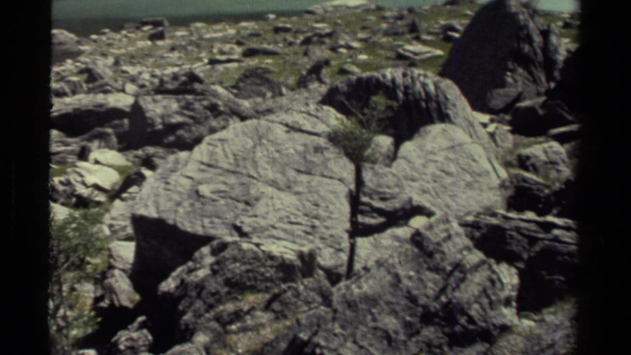 8mm home-movie frame from British Columbia showing clustered boulders, mossy rocks, and a small tree or shrub among the stones.