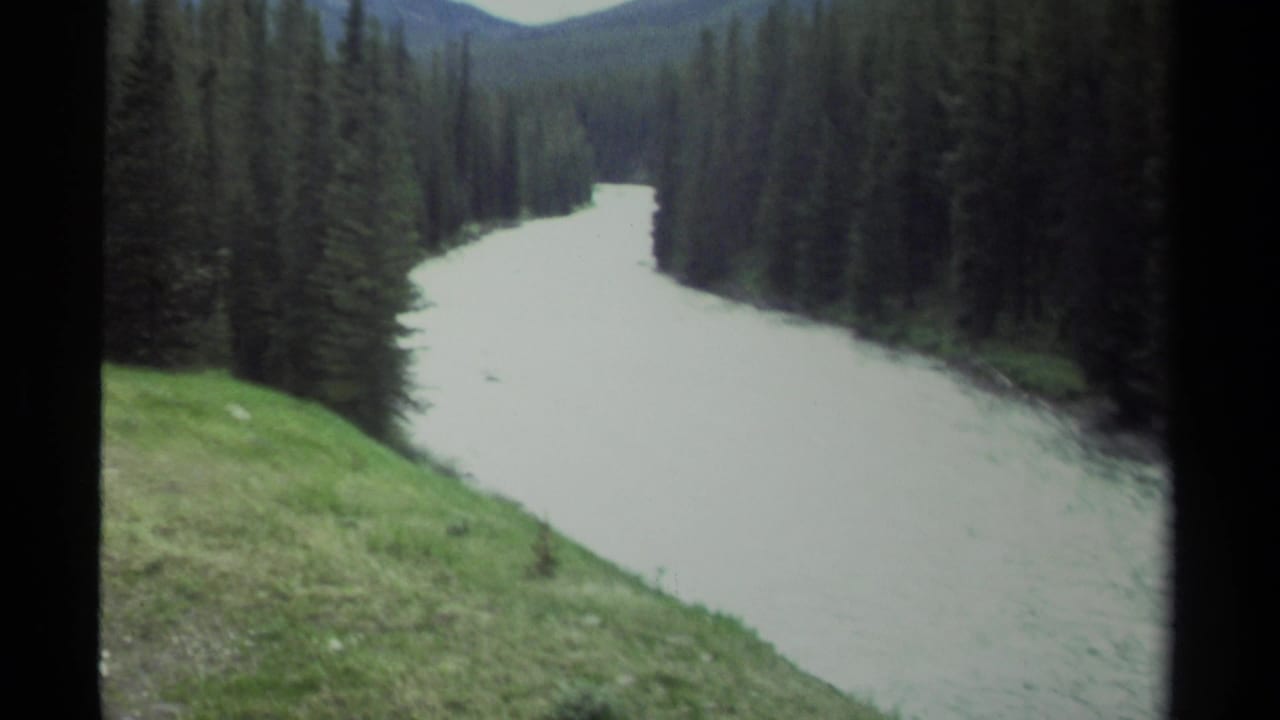 Pale river bending through evergreen forest with grassy bank and distant slopes.