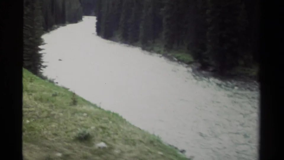 1979 British Columbia 8mm view of a broad pale river running past evergreen trees and a sloped green bank.