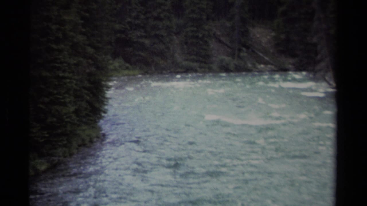 Pale river flowing through dense evergreen forest with dark film borders.