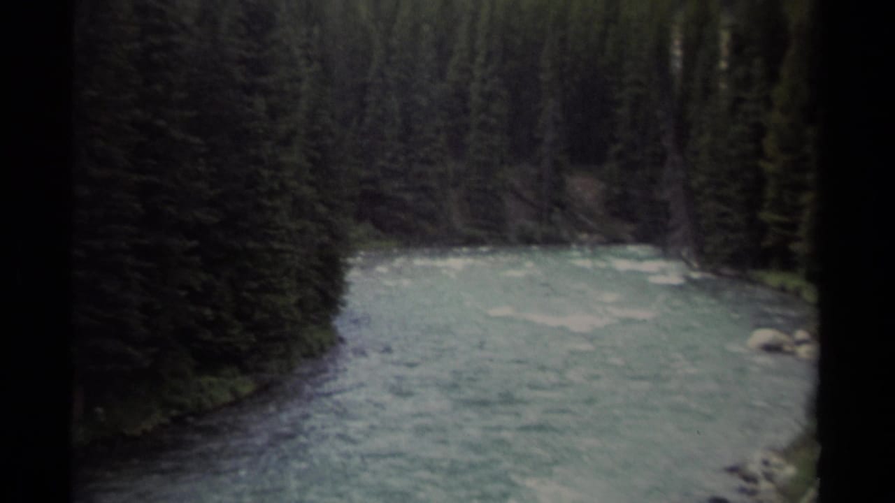 Rushing river bordered by tall conifers and rocks along the bank.