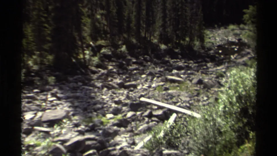 1979 British Columbia 8mm frame showing a rocky forest floor with loose stones, low brush, and dark evergreen trees.