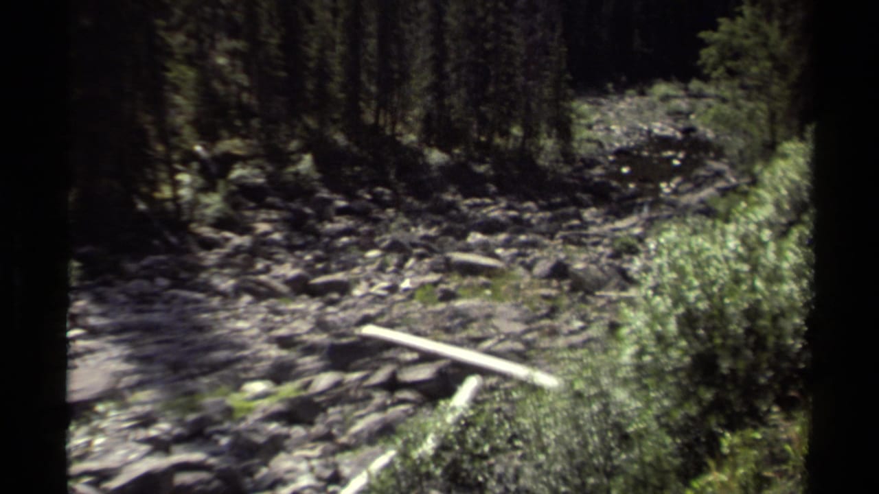 Rocky forest stream bed with conifer shadows, green shrubs, and a pale fallen log.