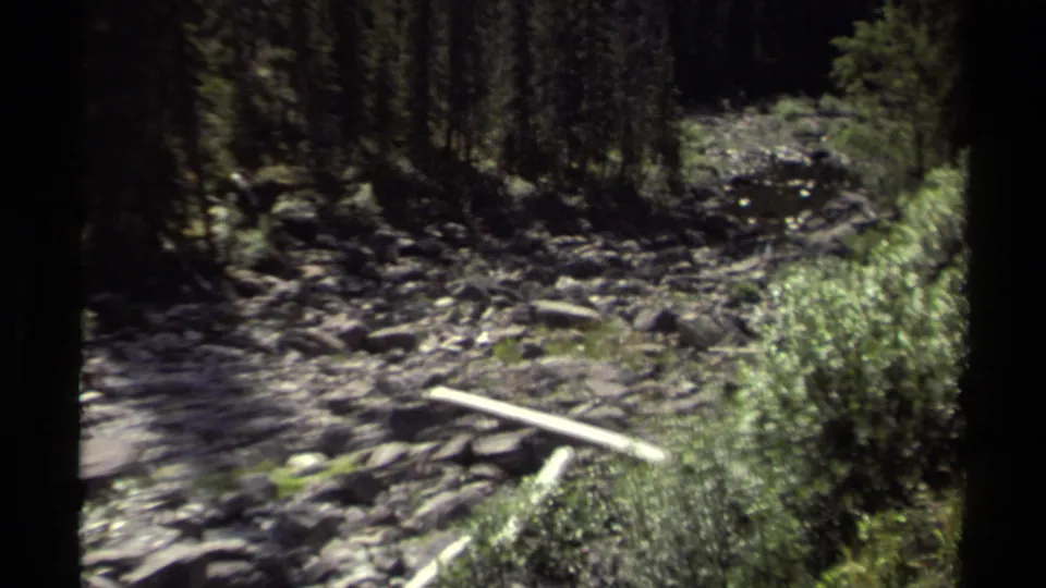 1979 8mm British Columbia footage showing a shaded rocky stream bed, trees, shrubs, and a pale fallen log in a mountain forest.