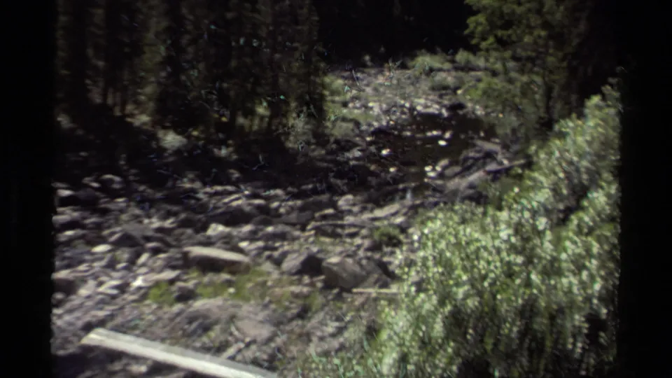 A handheld 8mm view of a shallow rocky creek in British Columbia, with dense trees, shrubs, boulders, and a pale fallen log.