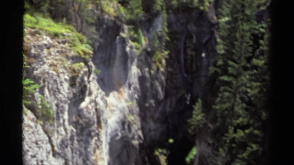 A moss-covered rock face in a British Columbia mountain forest, filmed on 8mm with soft focus and dense surrounding trees.