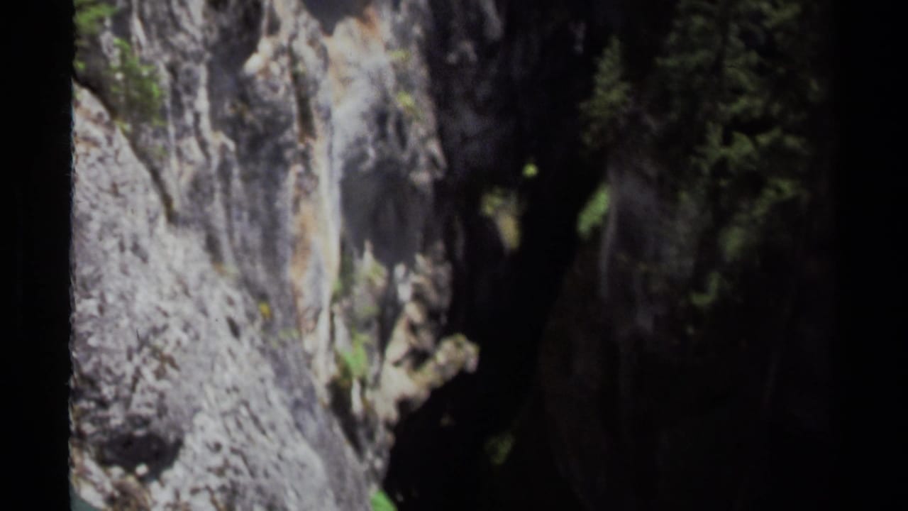 Rock wall and dark evergreen canyon interior with a narrow pale waterfall area.