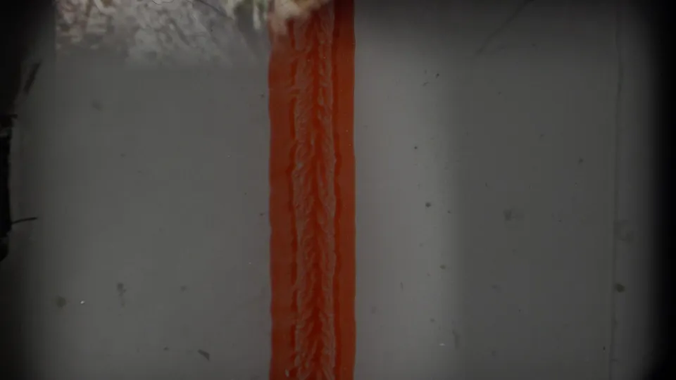 Final 8mm frame shows a gray exposed-film area with a vertical orange light-leak strip and small dust marks.