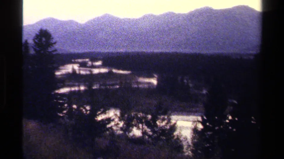 A scenic British Columbia mountain valley appears beyond dark conifers, with bright water reflecting through the landscape.