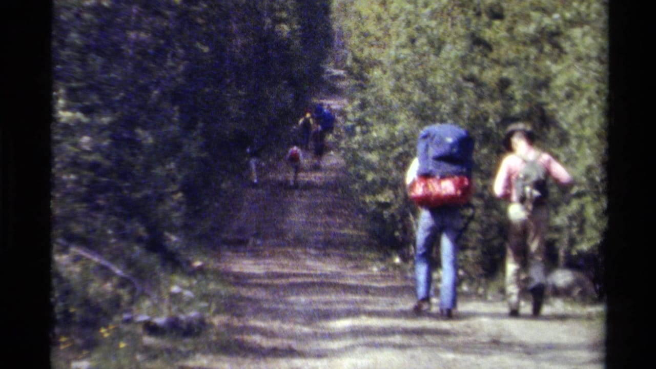 Two hikers with large packs walk away from the camera on a British Columbia forest road in 1979 footage.