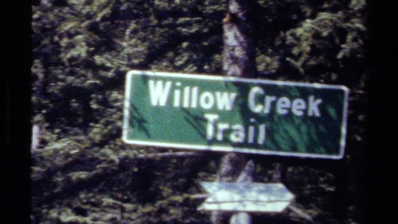 1979 British Columbia 8mm frame showing a green Willow Creek Trail sign against dense evergreen woods.