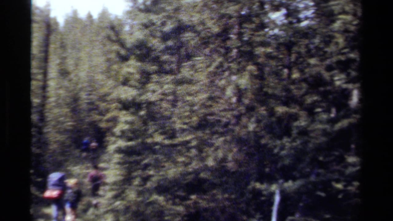 Backpackers appear on a narrow wooded trail in British Columbia, filmed from behind on 8mm home-movie footage.
