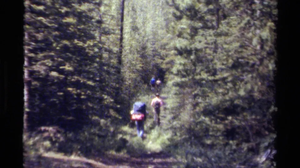 Two hikers with backpacks walk through dense British Columbia forest on a narrow Willow Creek Trail path.