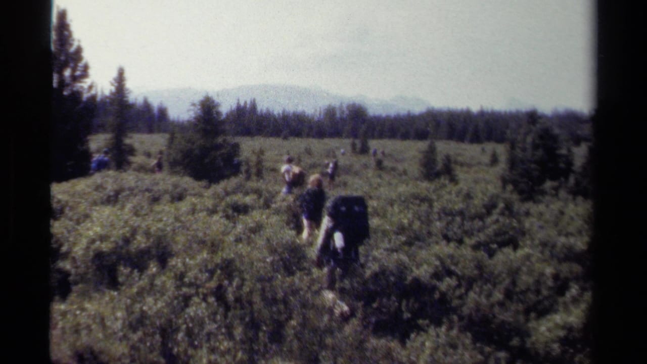 1979 British Columbia home-movie frame of campers with heavy packs moving through a low, brush-filled meadow toward a distant treeline.