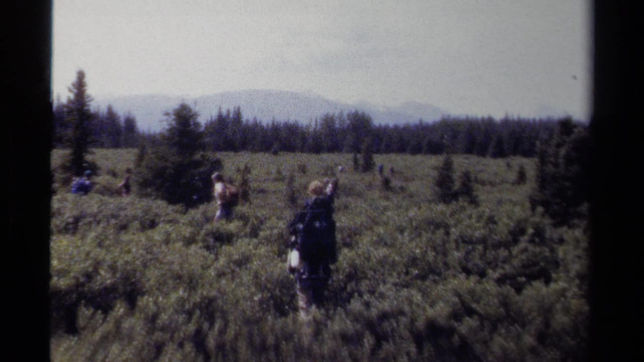 Several hikers with backpacks cross a green meadow below a dark forest edge.