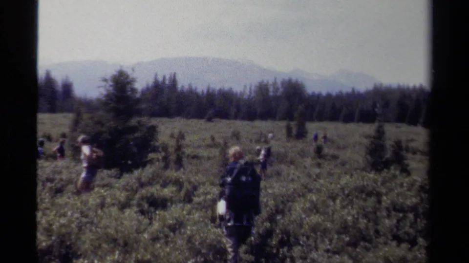A close trailing view shows a camper with a dark pack in a brushy British Columbia meadow, with other hikers dispersed ahead.