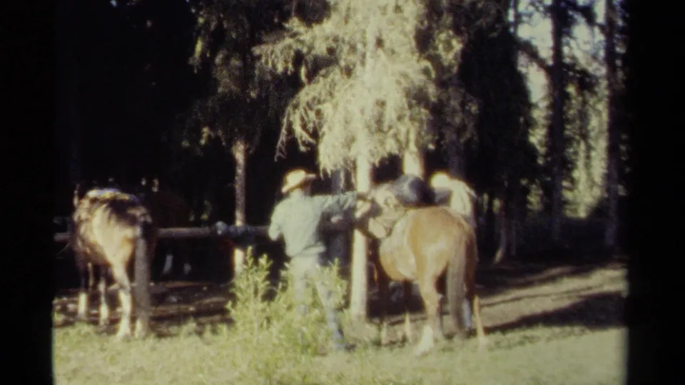 1979 British Columbia home-movie frame showing a person in a hat handling a saddled horse near a wooden fence in a shaded clearing.