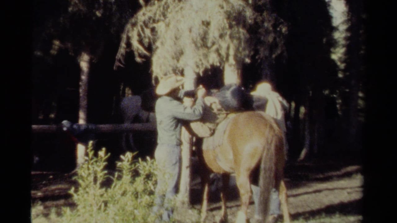 Two men in hats adjust gear on a brown horse beneath tall trees.