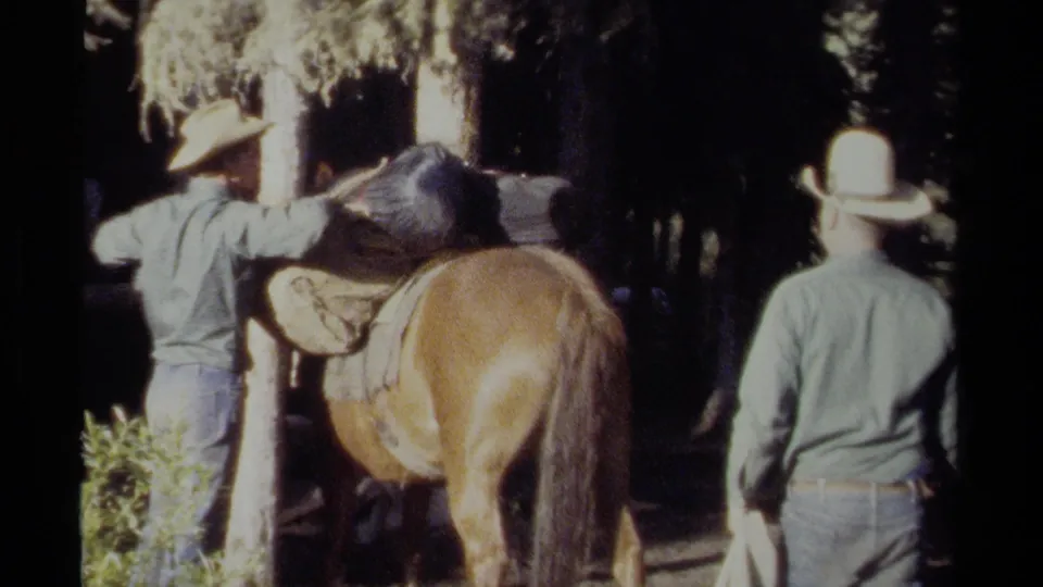 In 1979 British Columbia home-movie footage, two men in cowboy hats prepare a brown horse under trees.