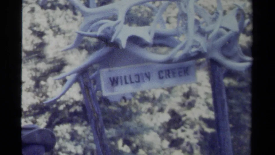 An antler-decorated Willow Creek sign appears in soft 8mm focus among trees in British Columbia.