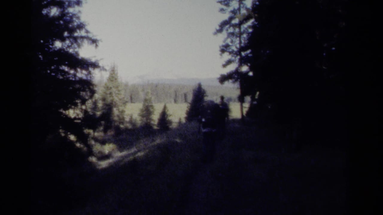 Three distant hikers with packs move through shaded British Columbia forest toward a sunlit meadow in 1979 home-movie footage.