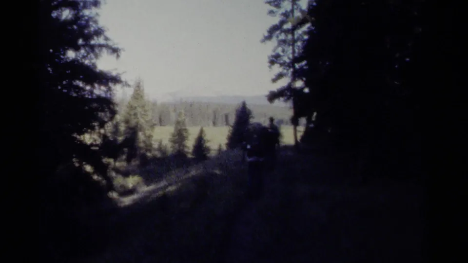Three distant hikers with packs move through shaded British Columbia forest toward a sunlit meadow in 1979 home-movie footage.