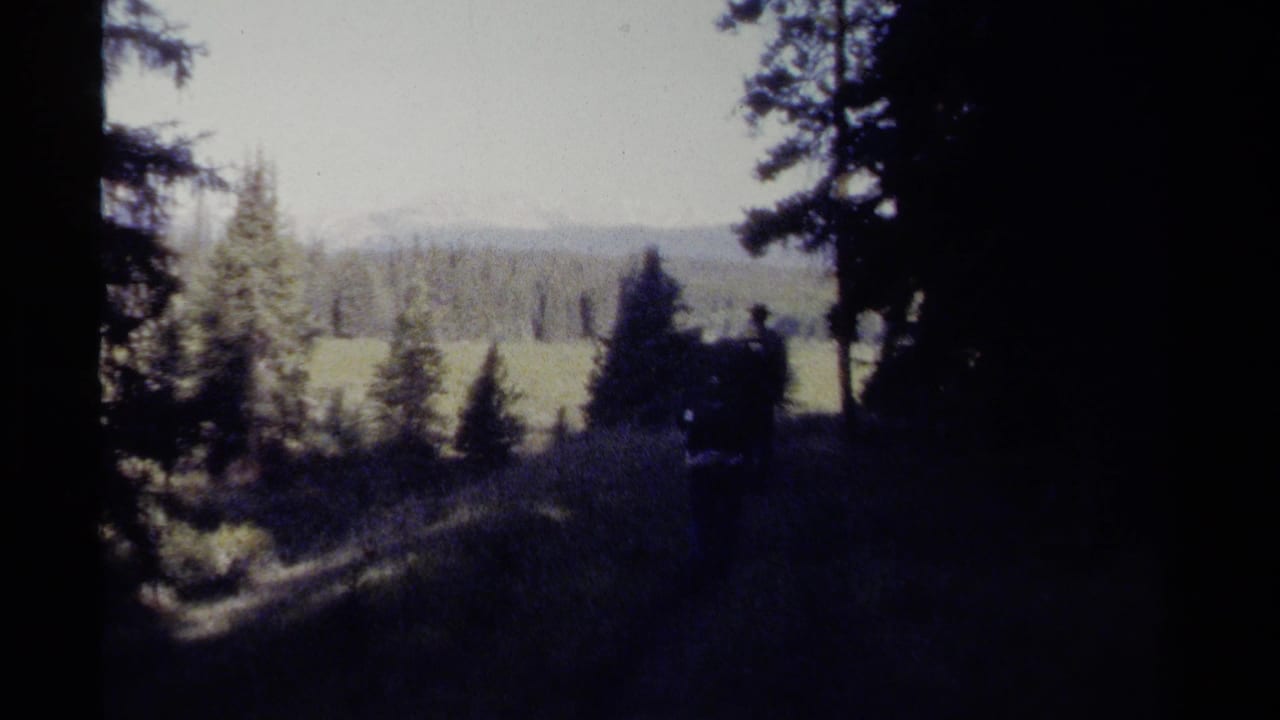 Backpackers continue along a shaded evergreen trail in British Columbia, with a bright meadow and distant treeline ahead.