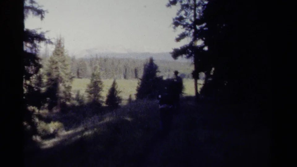 Backpackers continue along a shaded evergreen trail in British Columbia, with a bright meadow and distant treeline ahead.