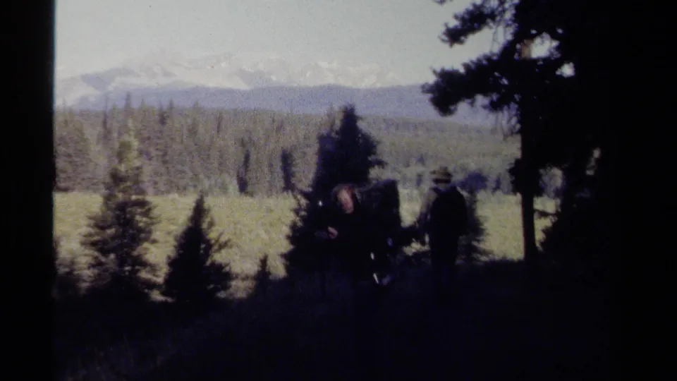 Three hikers with packs are partly silhouetted in a British Columbia forest, facing a bright meadow and distant snow-touched mountains.