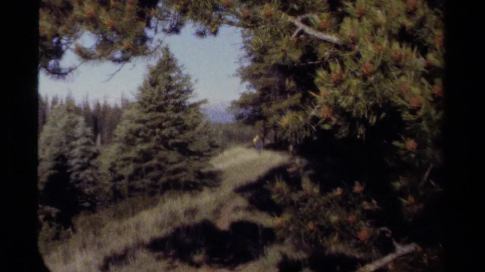 1979 British Columbia home-movie frame showing evergreen forest, hillside grass, and distant mountain terrain under pale sky.