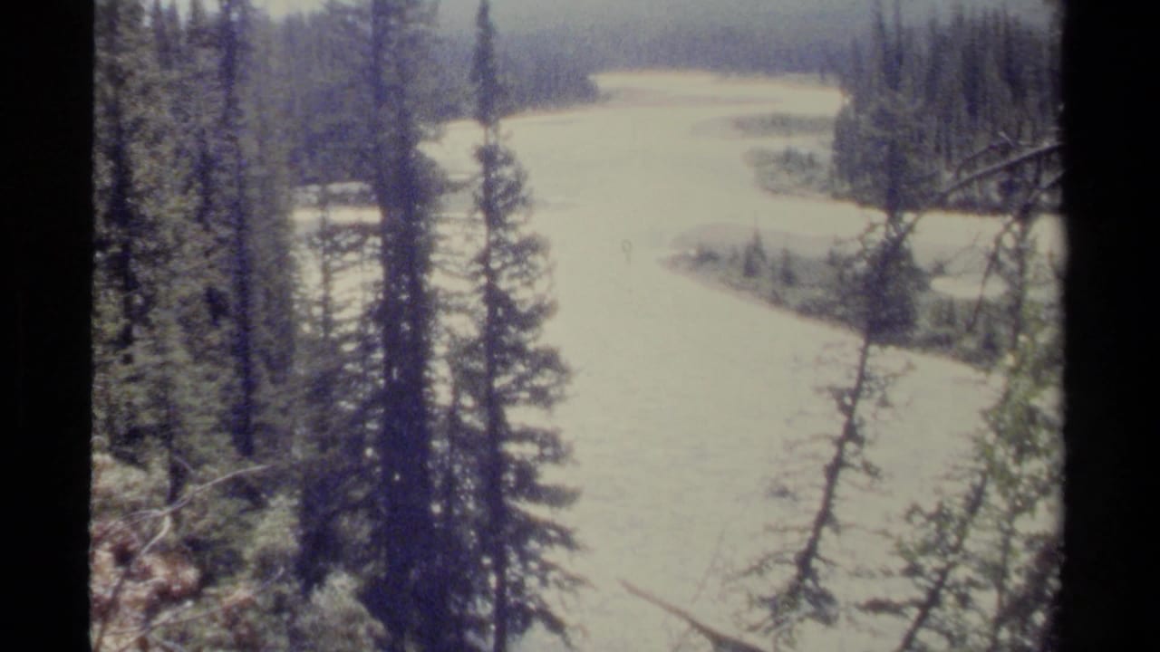 Pale river winding through evergreen forest viewed past dark tree trunks.