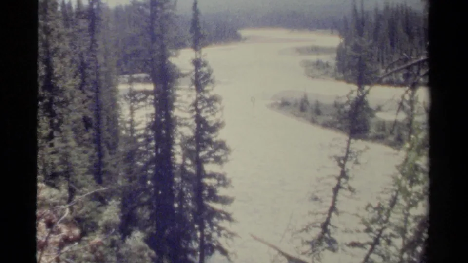 1979 British Columbia home-movie frame showing a pale river or creek curving through dense evergreen forest, with tall foreground trees partly obscuring the view.
