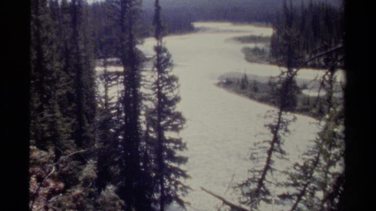A vintage 8mm view of a silty river winding through British Columbia forest, framed by dark evergreen trunks and branches in the foreground.