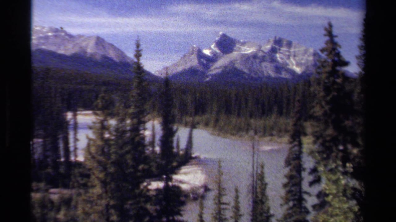 Snow-capped mountains beyond evergreen forest and pale water.