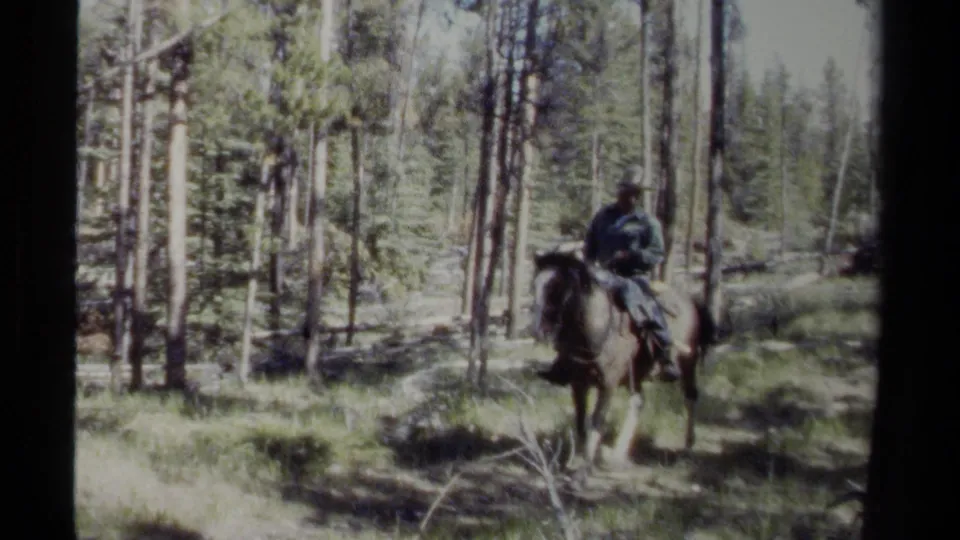 1979 British Columbia 8mm frame showing an adult rider on horseback moving through a conifer forest.