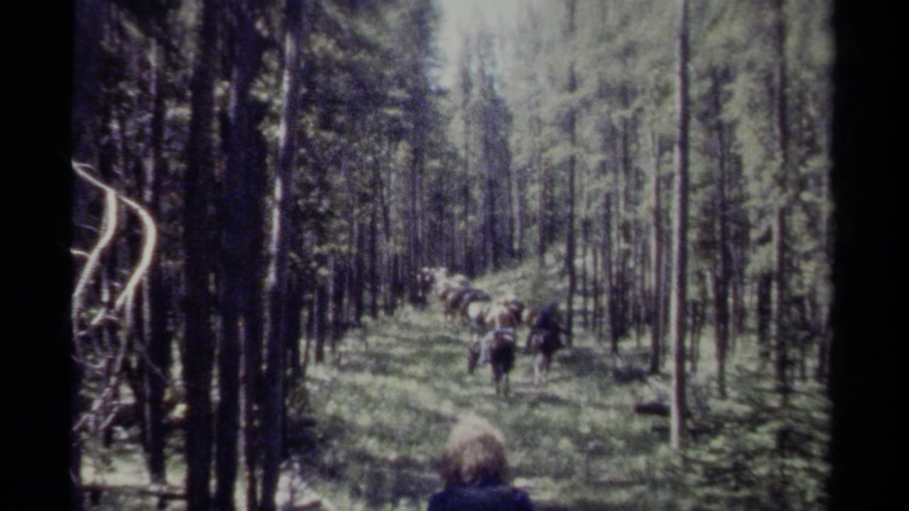 A line of riders and horses continues down a sunlit forest path.