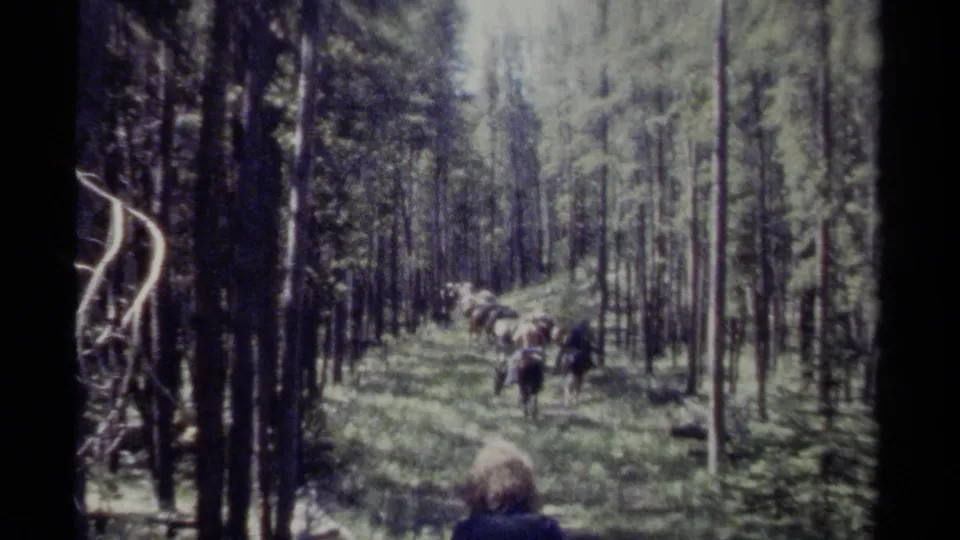 1979 British Columbia frame with a small trail party riding through conifer forest, viewed from behind in soft 8mm focus.
