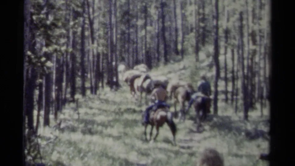 1979 British Columbia 8mm frame of a horseback trail group moving away through tall trees and bright forest undergrowth.