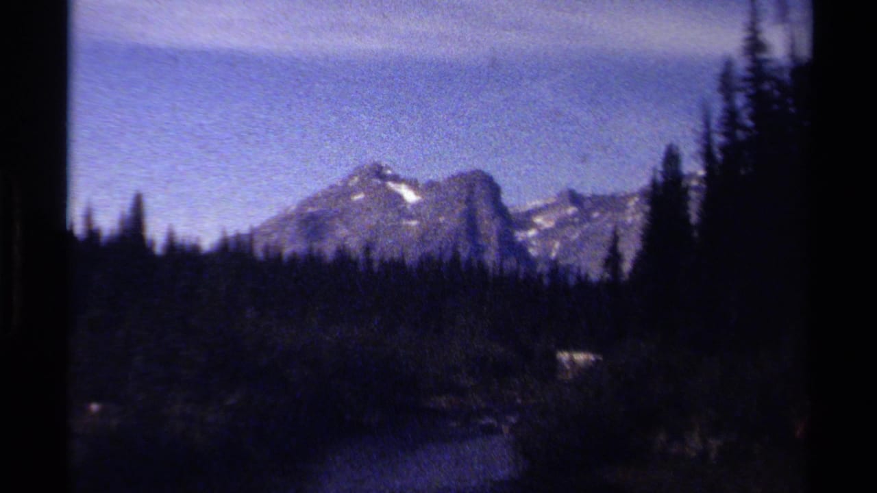 1979 8mm view of British Columbia mountains rising behind dense pine trees, with a blue cast and dark film-frame edges.