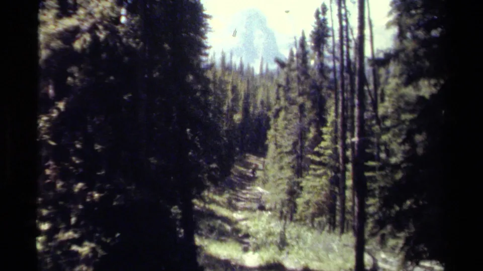 Blue-green 8mm view of a narrow British Columbia forest path between pines, with a distant pale mountain form visible through the trees.