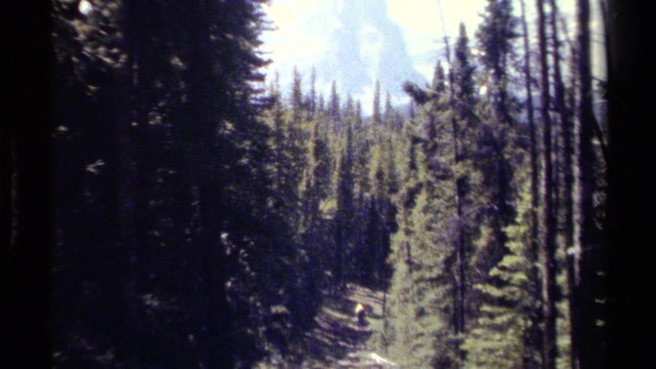 1979 British Columbia 8mm frame of a wooded trail, tall conifers, a distant hiker, and hazy mountain peaks beyond.