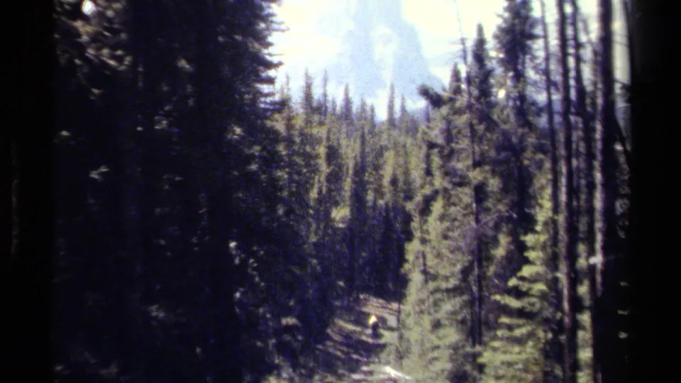 1979 British Columbia 8mm frame of a wooded trail, tall conifers, a distant hiker, and hazy mountain peaks beyond.